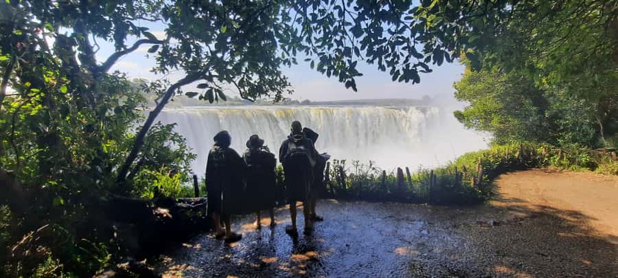 Victoria Falls: Guided tour by local guides - Is $25 a good value?