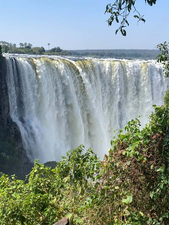 Victoria Falls: Guided Tour of Falls Zimbabwe & Zambia combo - Walking the rainforest viewpoints
