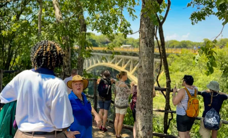Victoria Falls: Guided Tour of the Victoria Falls - Stories, Geology, and Local Wildlife