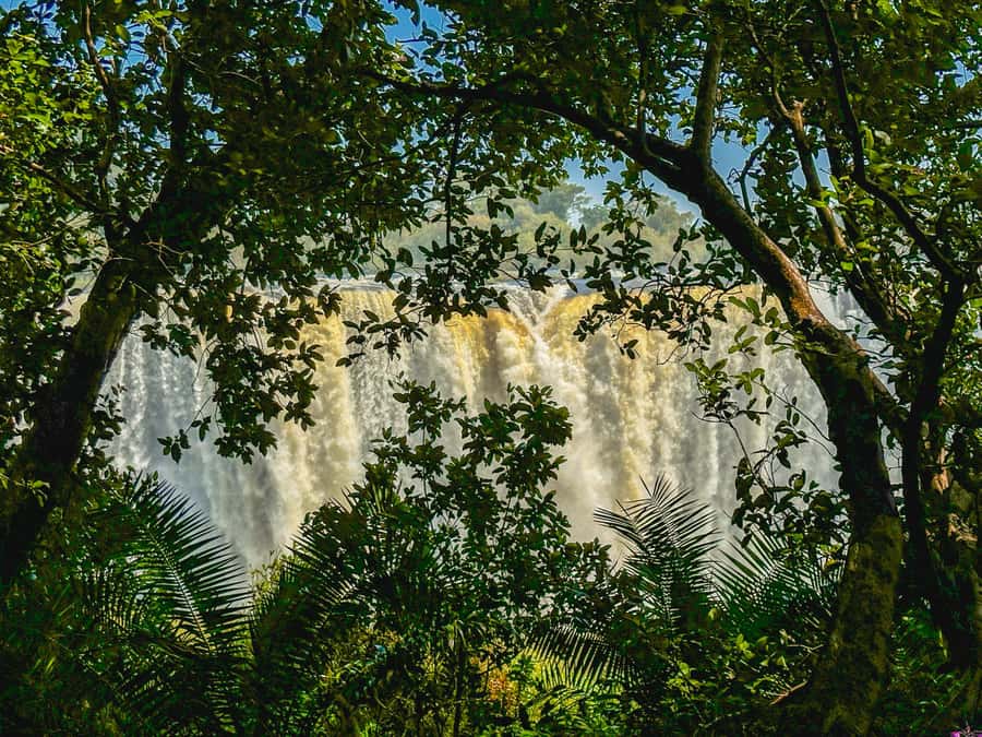 Victoria Falls: Guided Tour of the Victoria Falls - Leaving Your Victoria Falls Accommodation