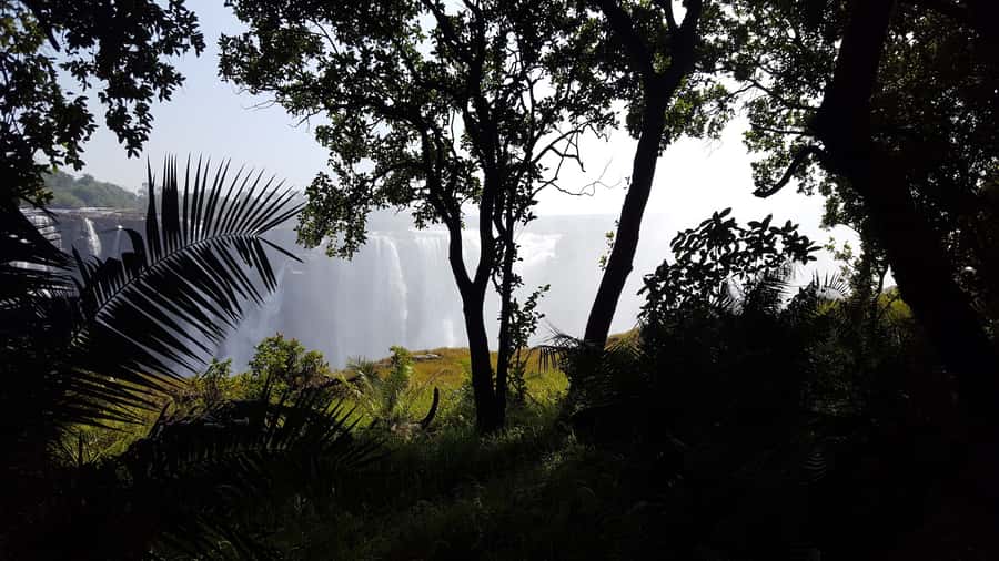 Victoria Falls: Guided Walking Tour - Why this two-hour walk works well