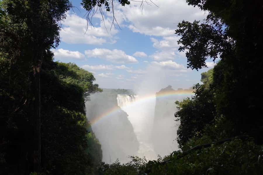 Victoria Falls: Guided Walking Tour - Hotel pickup and entering Victoria Falls National Park