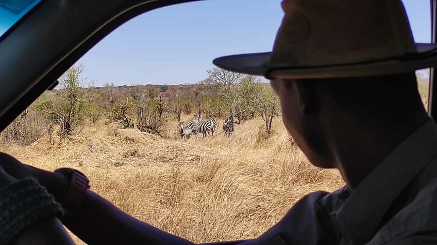 Victoria Falls: Lunch in the Savannah - Key points to know before booking