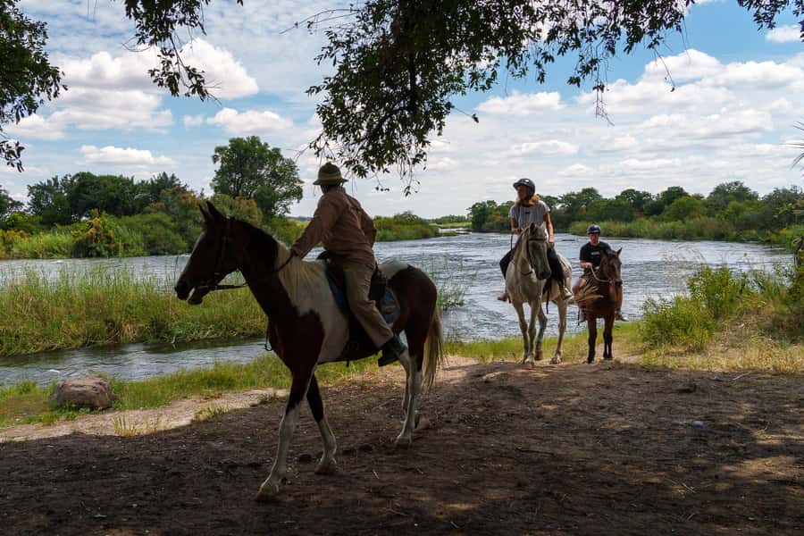Victoria Falls National Park: Horseback Safari - Key points at a glance