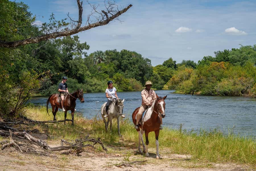 Victoria Falls National Park: Horseback Safari - Why horseback safari changes the game-viewing experience