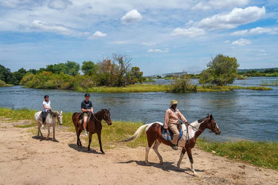 Victoria Falls National Park: Horseback Safari - Tracking elephant, buffalo, and rhinoceros