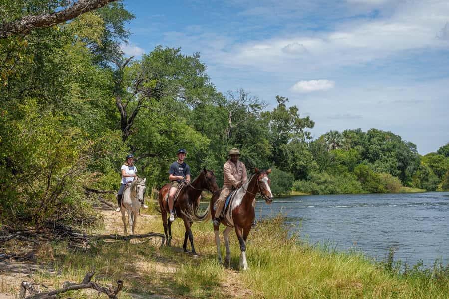 Victoria Falls National Park: Horseback Safari - Who should book this four-hour ride?