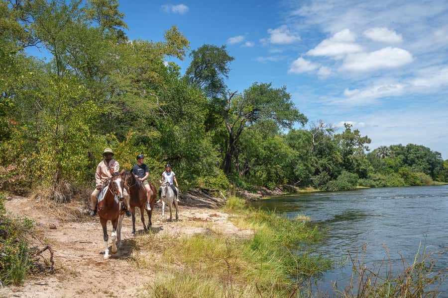 Victoria Falls National Park: Horseback Safari - Booking flexibility and practical checks