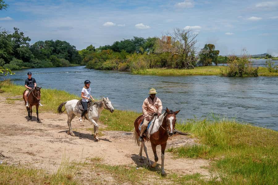 Victoria Falls National Park: Horseback Safari - Starting at AVANI Victoria Falls Resort in Livingstone
