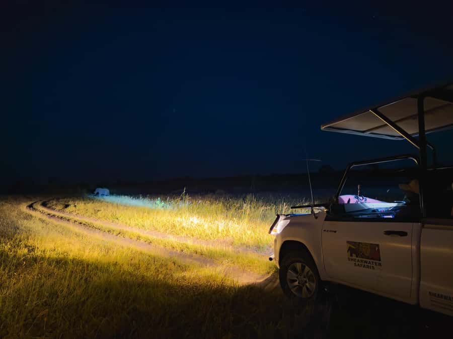 Victoria Falls: Night Game Drive Zambezi National Park - Should you book it?
