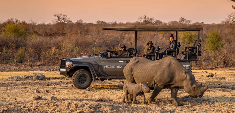 Victoria Falls Night Rhino Game Drive & Bush Dinner - Five things to know before booking