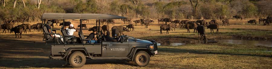 Victoria Falls Night Rhino Game Drive & Bush Dinner - Entering Stanley and Livingstone Private Game Reserve