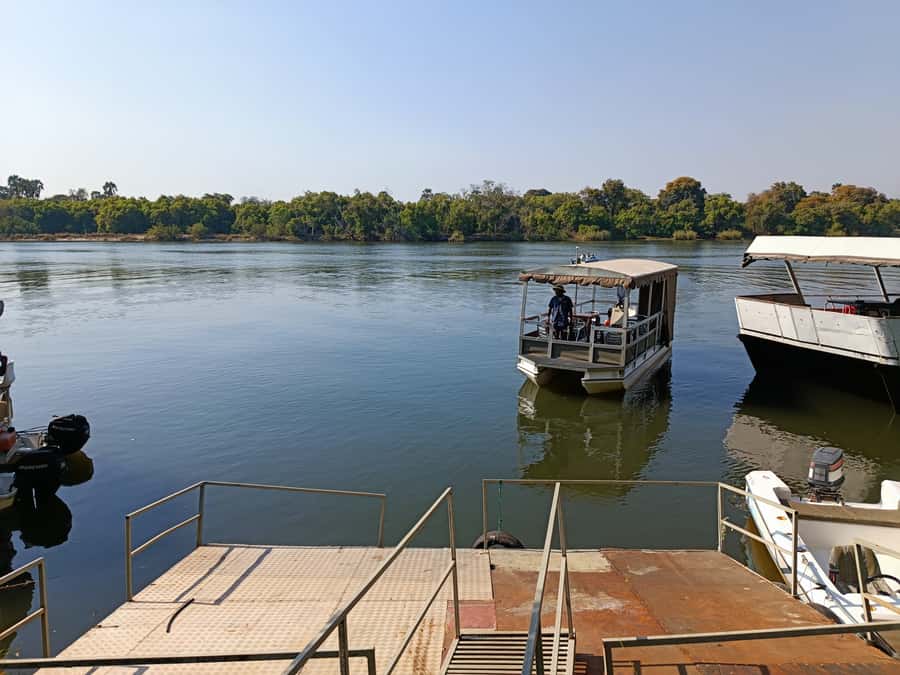 Victoria Falls: Private Zambezi River Birdwatching Safari - The common birds you are likely to notice