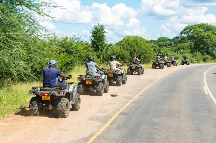 Victoria Falls Quad Bike Adventure - Wildlife viewing with a guide