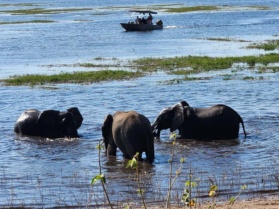 Victoria Falls: Quadripoint and Chobe Day Trip with Lunch - The return to Victoria Falls