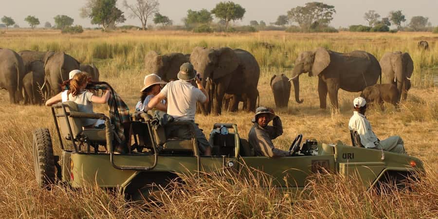 Victoria Falls Safari with Lunch and Sunset Cruise - Morning in Zambezi National Park