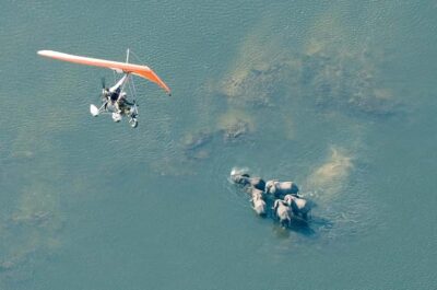 Scenic Microlight Flight