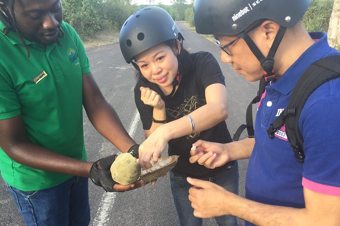 Victoria Falls Segway Tour - Is the $67 price good value?