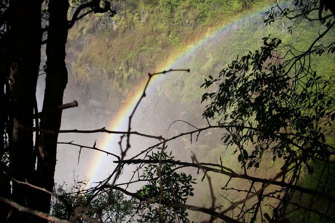 Victoria Falls Special - Day 3: a quiet morning before your flight