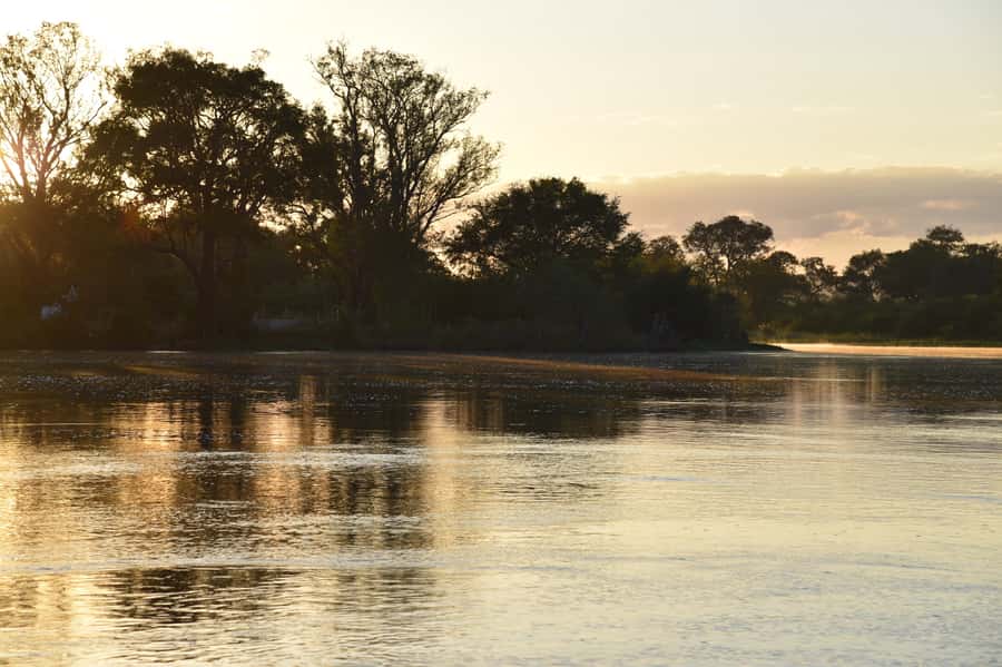 Victoria Falls: Sunrise Cruise on the Zambezi River - Is $92 a fair price?