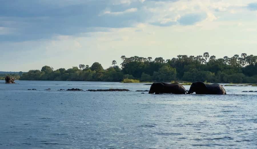 Victoria Falls: Sunset Cruise on the Zambezi River - A practical boat plan for families and photographers