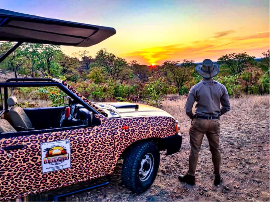 Victoria Falls: Vulture Safari and Bush Walk - The short walk to the vulture hide