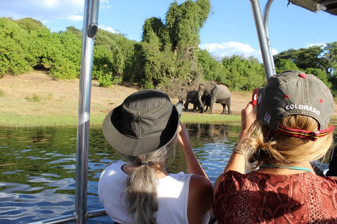 Victoria Falls: Whitewater Rafting + Chobe Safari Combo - Chobe National Park by game drive and boat