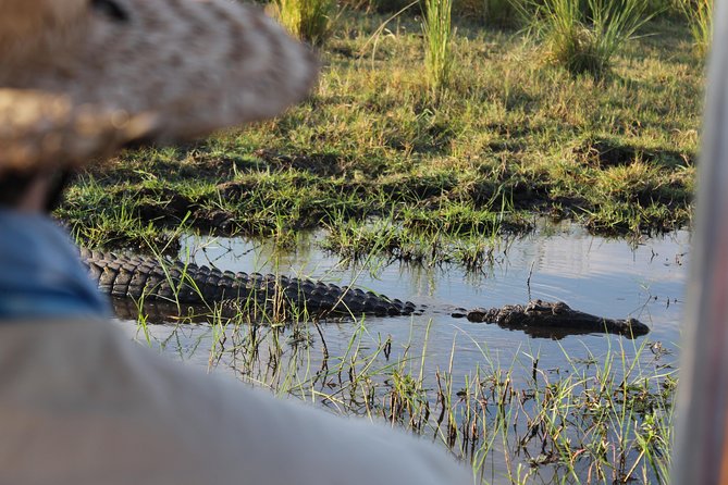 Victoria Falls: Whitewater Rafting + Chobe Safari Combo - Wildlife expectations without false promises