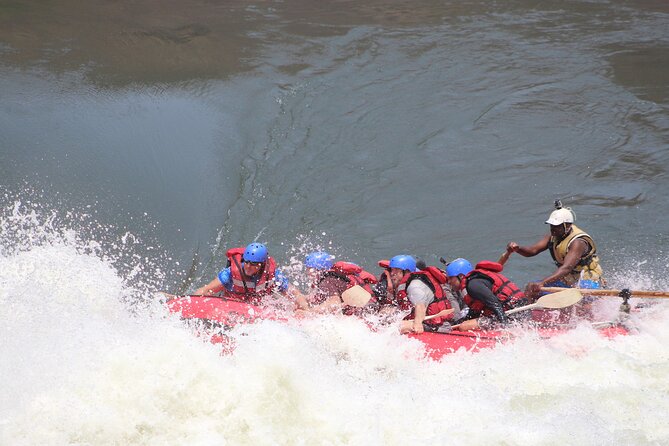 Victoria Falls: Whitewater Rafting + Chobe Safari Combo - What the service seems to get right