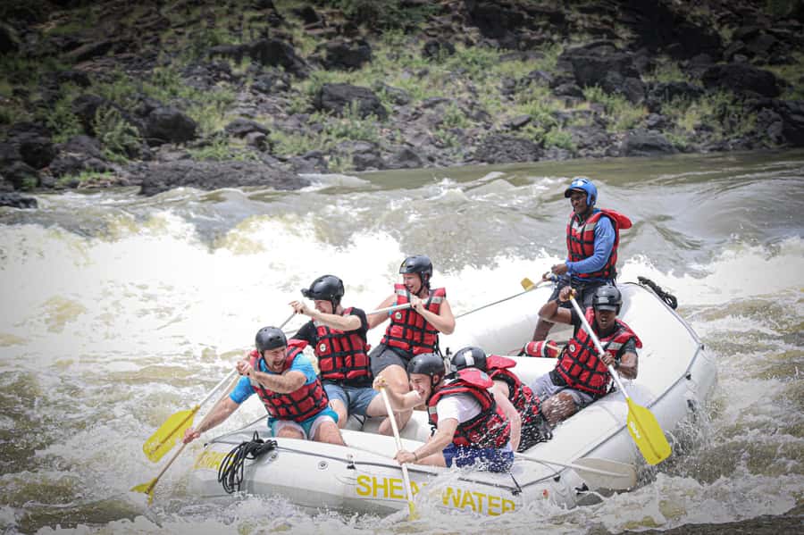 Victoria Falls: Whitewater Rafting Experience - Should you book the Zambezi rafting experience?