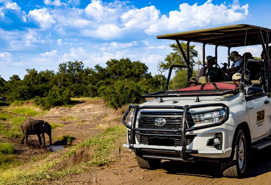 Victoria Falls: Zambezi National Park Game Drive - Entering Zambezi National Park