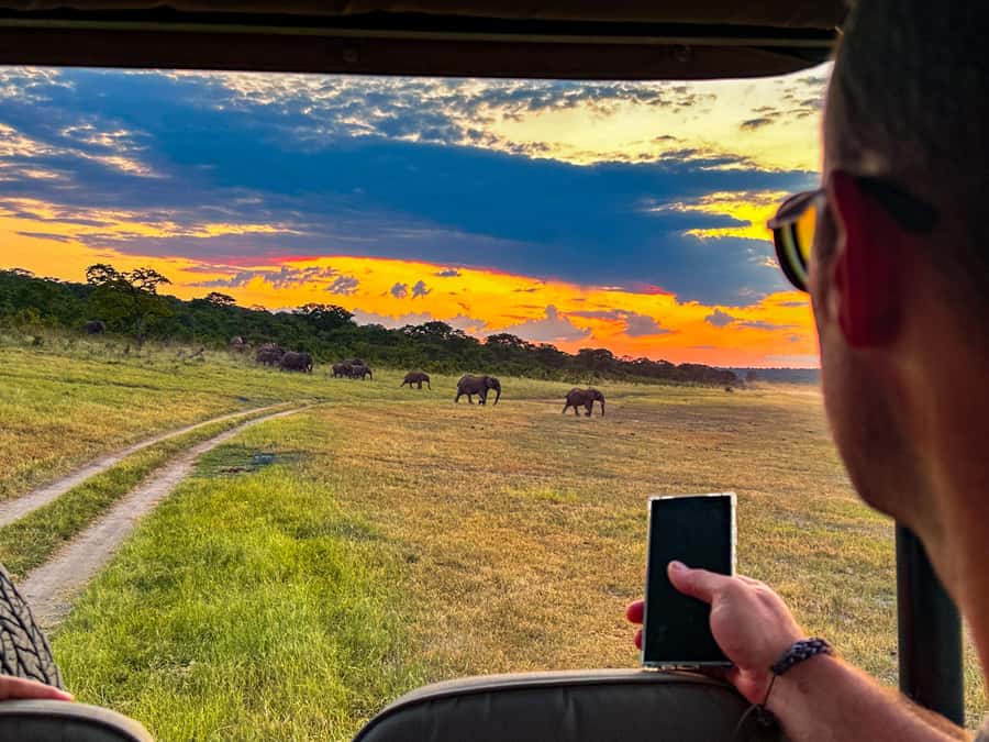 Victoria Falls: Zambezi National Park Game Drive - Wildlife: realistic expectations in a working park