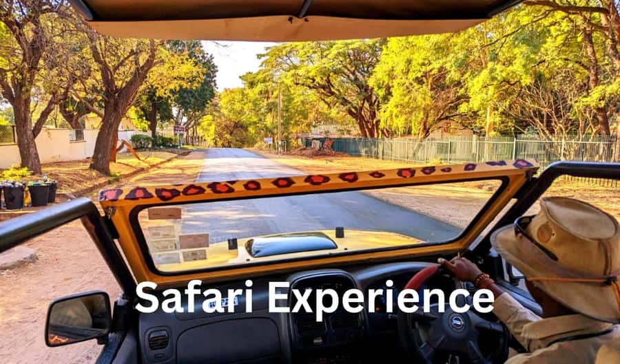 Victoria Falls: Zambezi National Park Safari - Key points to know before you book