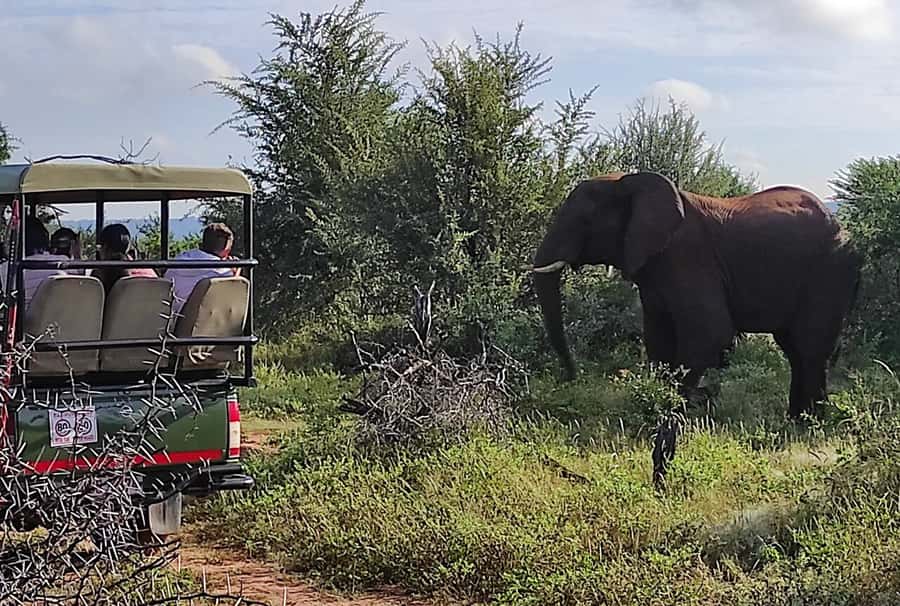 Victoria Falls: Zambezi National Park Safari - Entering the Zambezi National Park