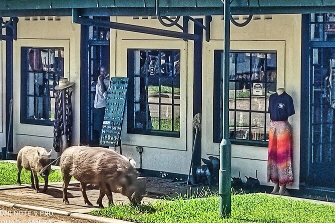 Walking Safari of Victoria Falls Town - The Victoria Falls Hotel and its old-world setting
