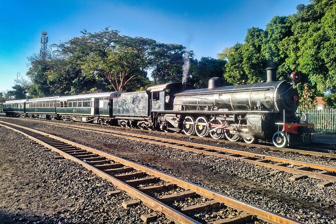 Walking Safari of Victoria Falls Town - From town streets into the African bush
