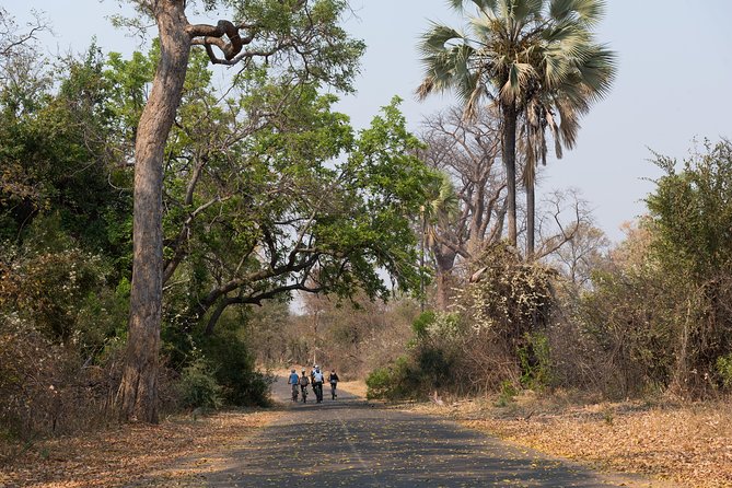 Wild Horizons Bike Tour (Zimbabwe) - What the $45 price really buys