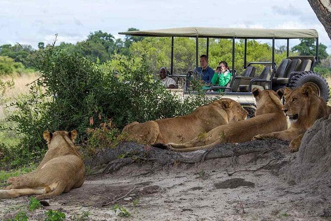 Zambezi National Park AM or PM Game Drive - The guide can make or break the outing