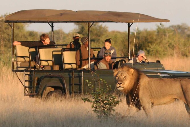 Zambezi National Park AM or PM Game Drive - Is $105 a fair price?