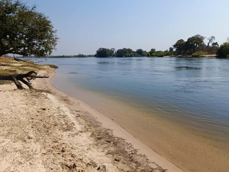 Zambezi National Park Private Wildlife Safari (4 - 10 hours) - Shrubland, savannah, and the search for mammals