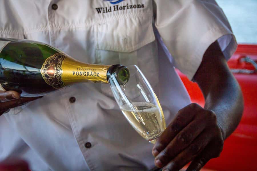 Zambezi River: Dinner Cruise - Is $250 per person fair value?