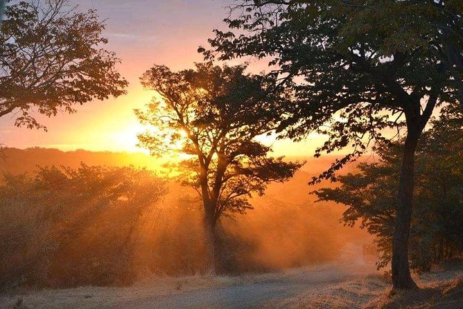 Zambezi Sundowner Cruise - Why a sunset cruise suits Victoria Falls