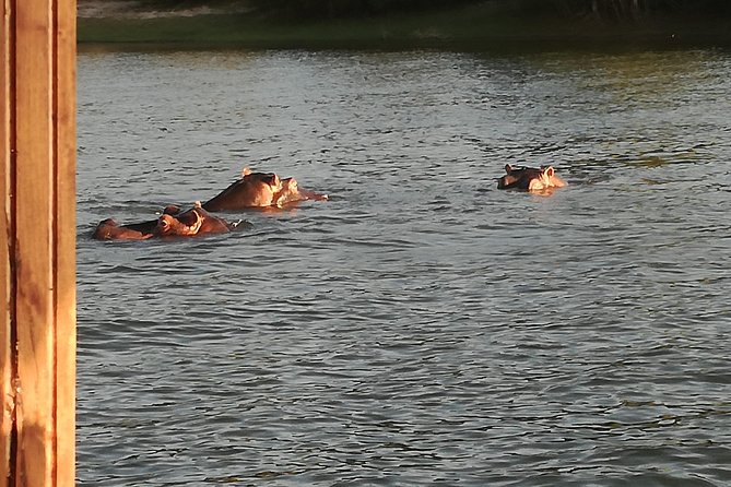 Zambezi Sunset Cruise - Victoria Falls - Birdwatching with the captain’s commentary