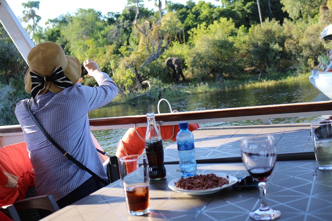 Zambezi Sunset Cruise – Wildlife, Drinks & Breathtaking Views - Snacks, canapés, and the open bar