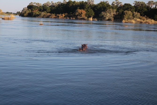 Zambezi Sunset Cruise – Wildlife, Drinks & Breathtaking Views - Is $49 a fair price?