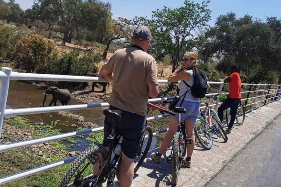 Zambia : Victoria Falls : Nature Bike Tour - Along the Zambezi River toward the bridge