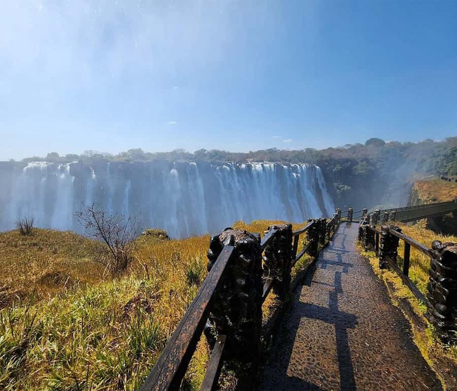 Zimbabwe & Zambia side Private Guided Tour of the Falls - Starting in the Zimbabwean rainforest